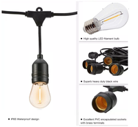 Connexion pratique populaire S14 Éclairage de feston LED de bonne qualité Globe de patio vintage Guirlande lumineuse extérieure de 48 pieds