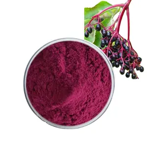 Health Food Supplement 100% Pure Herbal Elderberry Fruit Extract Elderberry Extract 10:1 Powder Elderberry Juice Powder