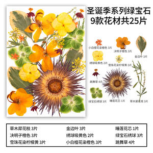 25 unidades/paquete bolsa combinada de flores prensadas - Product Image 4