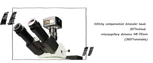 Phenix-Microscopio fluorescente profesional Binocular <span class=keywords><strong>Trinocular</strong></span> 40X-1600X para cultivo celular e investigación médica - Product Image 5