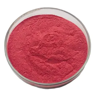 Poudre de fraise halal biologique pure séchée par pulvérisation/lyophilisée