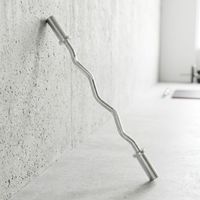 Barre de musculation en acier EZ Curl robuste et durable, barre de musculation pour l'entraînement des biceps et des triceps, équipement de fitness pour la salle de sport