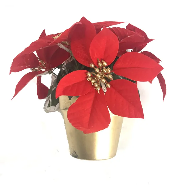 Indoor Decoration Light LED Artificial Flower Poinsettia