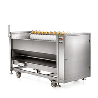 Machine industrielle de lavage et de pelage de pommes de terre, carottes, gingembre, radis, igname, navetteuse, 380V, 7 brosses