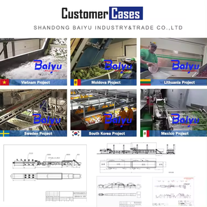 เครื่องลวกผักผลไม้เกรดอาหาร Baiyu สำหรับโรงงานผลิต ให้ความร้อนสม่ำเสมอ ผลิตต่อเนื่อง 5-60 กิโลวัตต์ - Product Image 5