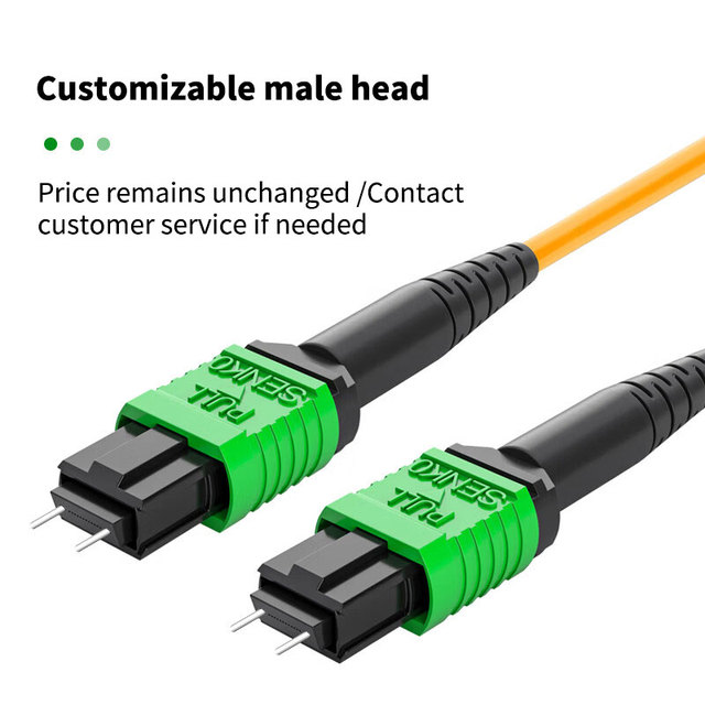 OS2 Single Mode Pre-Terminated Trunk Cable for Data Center, Support 40G/100G/200G Optical