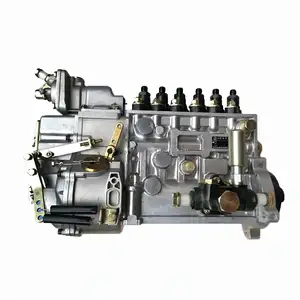 Diesel Engine C6121 SC11 ZG57 Parts BH6P110 P10Z002 BP5676 High Quality Fuel Injection Pump