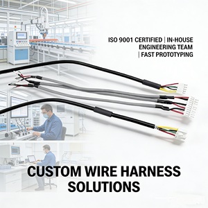 Solutions de faisceaux de câbles avec connecteurs multi-contacts personnalisés pour les applications grand public et industrielles - Product Image 3