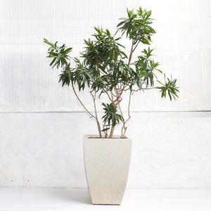 <span class=keywords><strong>Maceta</strong></span> <span class=keywords><strong>de</strong></span> <span class=keywords><strong>Barro</strong></span> <span class=keywords><strong>de</strong></span> Magnesio Hecha a Mano <span class=keywords><strong>de</strong></span> Estilo Nórdico Simple y Elegante para Sala <span class=keywords><strong>de</strong></span> Estar o Balcón - Product Image 4