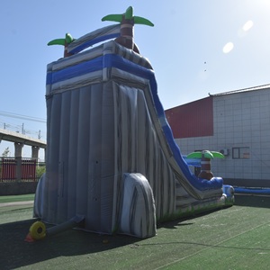 Đôi làn đường trượt nước <span class=keywords><strong>Inflatable</strong></span> cho trẻ em và người lớn <span class=keywords><strong>Inflatable</strong></span> trượt và trượt cây cọ <span class=keywords><strong>Inflatable</strong></span> hồ bơi trượt - Product Image 5