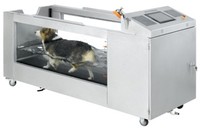 Caminadora Subacuática de Acero Inoxidable Ecológica para Hidroterapia de Mascotas, Gran Venta MT Medical