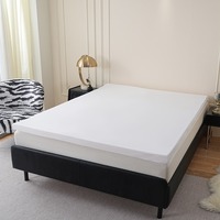 Nouveau matelas en silicone lavable Cloud-Feel 2026 pour adultes