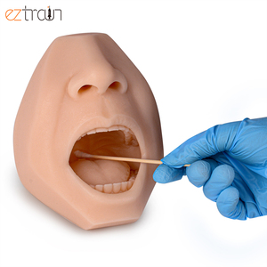 Mô hình đào tạo lấy mẫu bằng tăm bông y tế, kỹ thuật lấy mẫu miệng, lấy mẫu thực quản miệng - Product Image 1