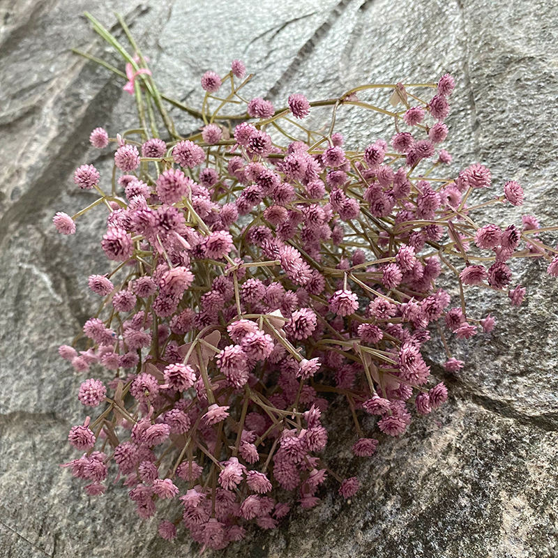 สีม่วงเข้ม