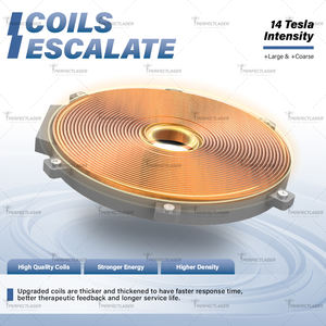 14 Mesin Stimulasi Otot Elektromagnetik Tesla EMS 4 Handle Perangkat Stimulasi Listrik RF EMS - Product Image 4