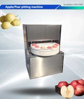Perzik Appel Abrikoos Pruim Dadels Kernel Verwijderen Machine Destoner/Fruitzaad Verwijderaar Machine