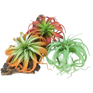 Grande plante artificielle Tillandsia Xerographica multicolore pour décoration de table tropicale sur bois flotté style bohème - Product Image 1