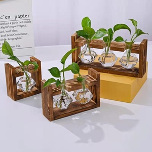 Creative <b>Small</b> Bamboo Frame Eco-friendly Hydroponic <b>Vase</b> Digital Pothos Plant Glass Bottle Container 80ml Modern Simple Vertical - Product Image 3
