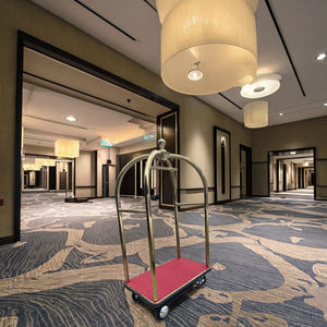 इलेक्ट्रिक होटल लॉबी और हवाई अड्डे स्टेनलेस स्टील की 300 किलोग्राम क्षमता के साथ 30 किमी रेंज 4 स्विस कैस्टर-पुश-पुल सेवा - Product Image 3