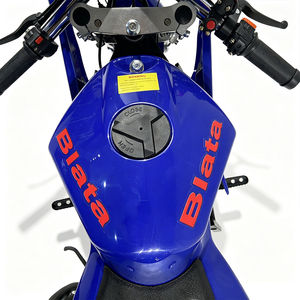 Minimoto de <span class=keywords><strong>49cc</strong></span>, 2 Tiempos, Refrigerada por Aire, Transmisión CVT, 35-40 km/h, Motocross, Pit Lane, Acrobacias, Carreras, para Adultos - Product Image 5