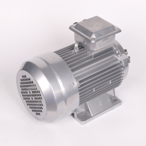 Ie3 loạt 5.<span class=keywords><strong>5KW</strong></span> 1500 vòng/phút ie4 eficiencia ba giai đoạn điện áp thấp <span class=keywords><strong>AC</strong></span> cảm ứng không đồng bộ động cơ điện <span class=keywords><strong>AC</strong></span> động cơ - Product Image 4