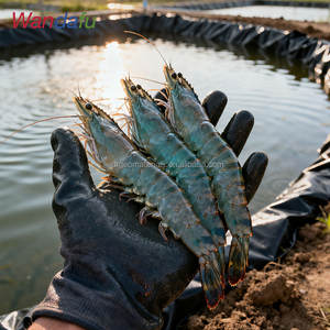 Agrarische Gladde Hdpe Geomembrane Voering Voor Viskwekerij Garnalen Vijver Stortplaats-Anti-Uv & Duurzaam - Product Image 5