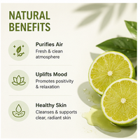 Échantillon Gratuit Huile de Parfum Huile de Citron 10ml 20ml 30ml Bouteille en Verre Huile Essentielle de Citron Pure pour SPA Aromathérapie