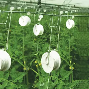 Professional Agricultural Tomato Roller Hook With Tomato Chip Greenhouse For Grow Support