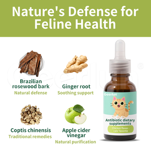 Gotas Líquidas para Mascotas de Marca Propia con Raíz de Jengibre, Calman la Piel y Refuerzan el Sistema Inmunitario, Suplementos Líquidos Dietéticos Antibióticos Naturales para Gatos - Product Image 3