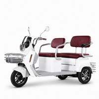 Tricycle Électrique Passager Double Siège Panier Avant Phare LED Porte-Bagages Arrière Jiangzi Shopping Famille Vente en Gros