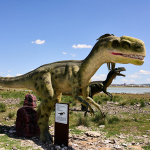 Dinosaures animés grandeur nature, œufs de dinosaures personnalisables, <span class=keywords><strong>T</strong></span>-<span class=keywords><strong>rex</strong></span> fait main de haute qualité - Product Image 5