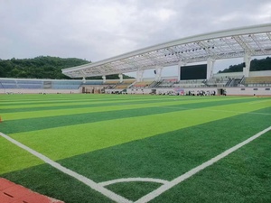 AVG non tamponamento erba artificiale per calcio o <span class=keywords><strong>campo</strong></span> di calcio non c' è bisogno di tamponare granuli di gomma e sabbia - Product Image 3