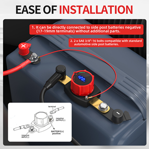 Interruptor de Batería para Auto de 12 Voltios, 250A, con Medidor de Voltaje LED, Resistente al Agua, con Conexión Lateral, para Automóviles y Autocaravanas, con Certificación RoHS y CE - Product Image 3