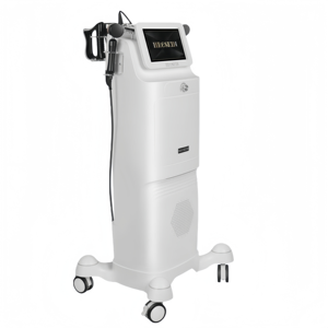 448k Temperature controller, body instrument, beauty salon, anti-aging health instrument - Product Image 3