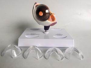 العلوم الطبية التعليمية نموذج أمراض العين البشرية نموذج الجلوكوما ، نموذج الساد نموذج تكبير العين ، للتجارب الطبية - Product Image 6