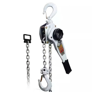 Pengangkat tuas rantai tugas berat, 0.75 t-9t kapasitas angkat 1.5M/3M/6M panjang rantai untuk konstruksi/pengiriman - Product Image 6
