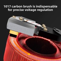 Stabilisateur de tension triphasé entièrement automatique 380V 30kVA TNS-30KVA Exportation Chine Compensateur industriel intelligent pour l'extérieur
