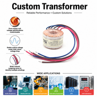 T50 T60 230V 48V 50VA 100VA 1000VA Toroidal Trafo Ses Amplifikatörü Bakır Tel 50 60Hz Düşürücü Elektrik Güç Trafosu