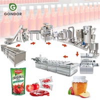 Usine de transformation de tomates 100 kg/h, mini ligne de production complète entièrement automatique pour la fabrication de purée, toutes machines incluses