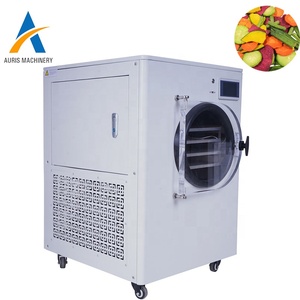 Precio <span class=keywords><strong>de</strong></span> Mini Liofilizador Industrial, Precio <span class=keywords><strong>de</strong></span> Máquina Secadora <span class=keywords><strong>de</strong></span> Gusanos <span class=keywords><strong>de</strong></span> la Harina, Pequeño Liofilizador al Vacío - Product Image 3