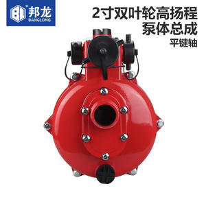 Conjunto de Bomba de Riego con Motor de Gasolina y Cabezal de Bomba Autocebante de Aluminio, Tamaños de 2, 3 y 4 Pulgadas para Modelos 168F/170F - Product Image 1