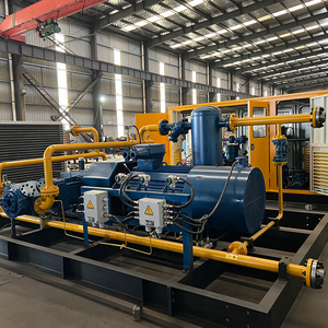 Trung Quốc Nhà Máy Giá <span class=keywords><strong>cng</strong></span> máy nén tùy chỉnh AC Piston nén khí tự nhiên cho lĩnh vực dầu động cơ động cơ động cơ OEM - Product Image 4