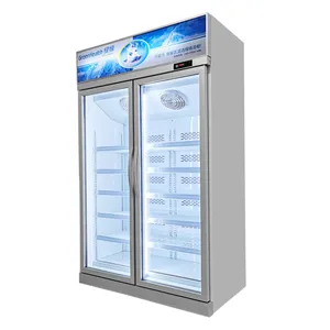 Refrigerator Price Double Door Ice Cream Upright Freezer Commercial