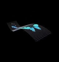 Prix d'usine Intérieur Fenêtre Verre Flexible Transparent Led Film Écran P4 P6 P8 P10 P16 P20 P32 Pleine Couleur Led Écran D'affichage