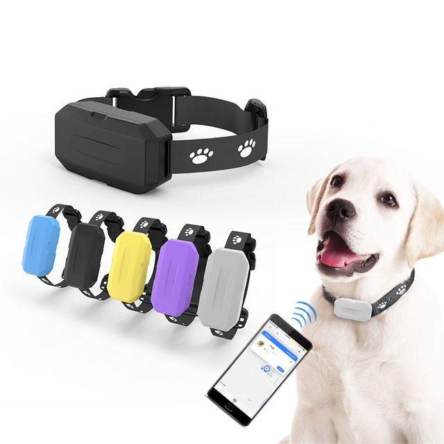 Portable Pet GPS GSM IP67 Waterproof Dog Finder Tracker with OLED Display Metal & Silicone Collar for Android PC Viewable