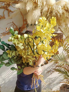 يونان الجملة المحفوظة الطبيعي 23in الكستناء أوراق الجافة الزفاف الديكور زهور مجففة الزفاف الذهب أوراق Salal يترك - Product Image 6