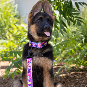 Correa y Collar Ajustables para Mascotas, Diseño Intergaláctico Personalizable, Fabricados en Poliéster y Nailon Suave, para Perros - Product Image 2
