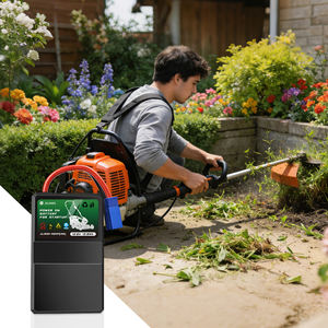 Batterie au lithium compatible avec moteur à essence 1,0 Ah 5 kW (LiFePO4 1500 cycles) pour générateurs domestiques et tondeuses à gazon - Product Image 6