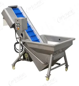 LWT Vegetable And Fruit Washing Machine Bubble Cleaning Machine For Cabbage Lettuce Pepper Washer