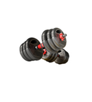 Haltères en ciment Yanshi YSD-33 de 40 kg (88,18 lb) avec couleurs personnalisées pour la salle de sport à domicile - Meilleures ventes
